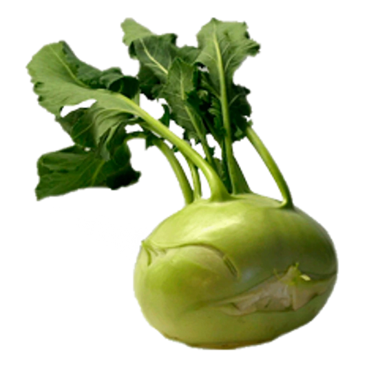 Karalábé magyar