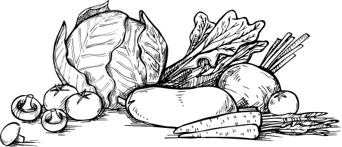 Magyar Farma